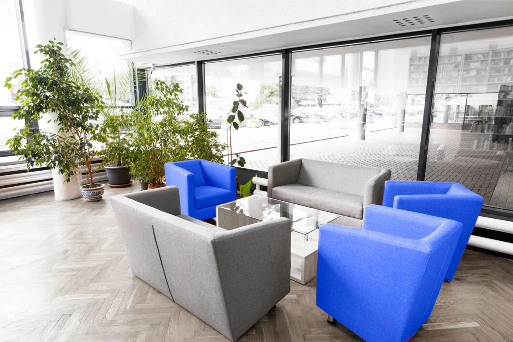 Main City (Surgery + Hospitals)