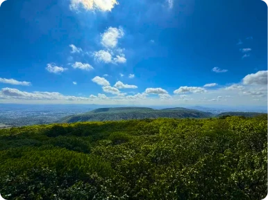 Forest Photography Tour